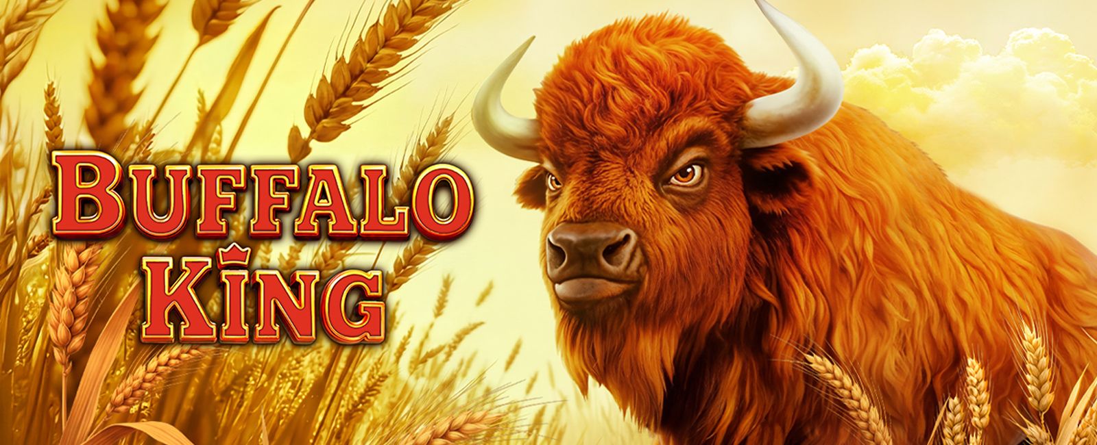 Buffalo King official promotional banner